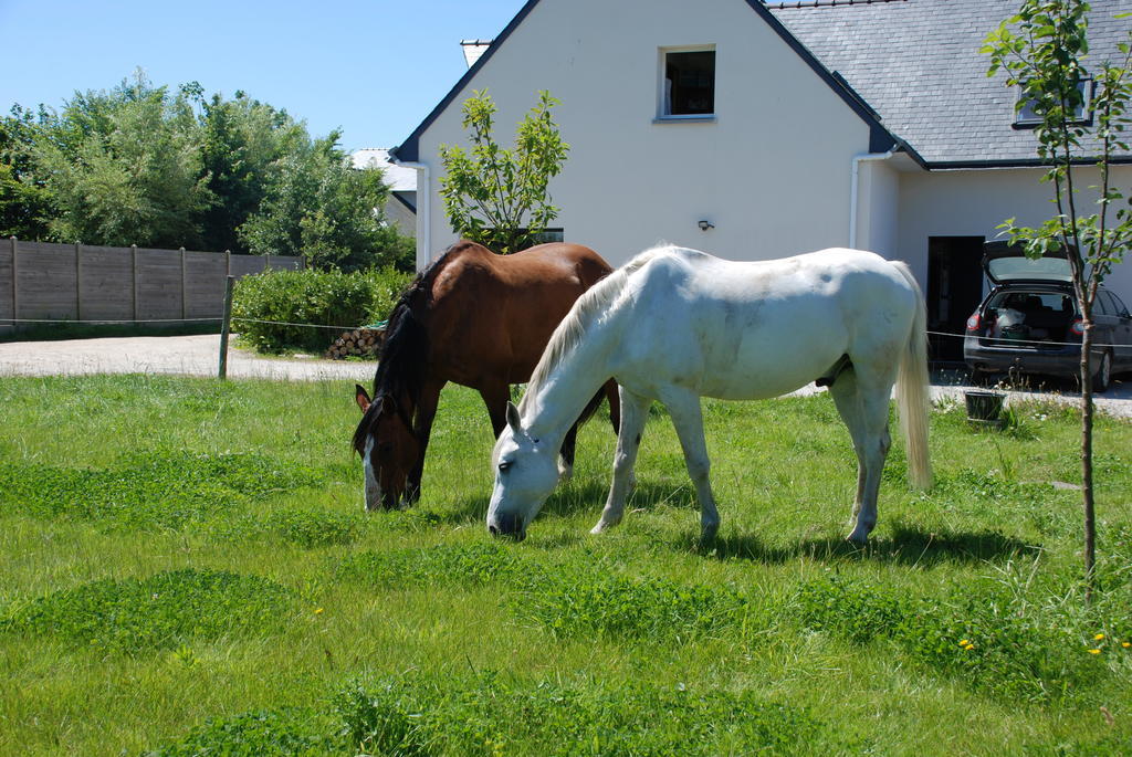 Roulotte Gites O Bien-Etre Massage Spa Sejour Bien-Etre En Hebergement Insolite Roulotte Karantez Ou En Gites Melon Ou Yock A 800 M Des Plages Maison D'Hote Drogou Porspoder Room photo