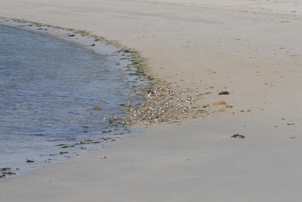 Roulotte Gites O Bien-Etre Massage Spa Sejour Bien-Etre En Hebergement Insolite Roulotte Karantez Ou En Gites Melon Ou Yock A 800 M Des Plages Maison D'Hote Drogou Porspoder Exterior photo